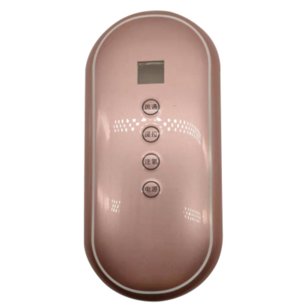 Beauty Device Housing
